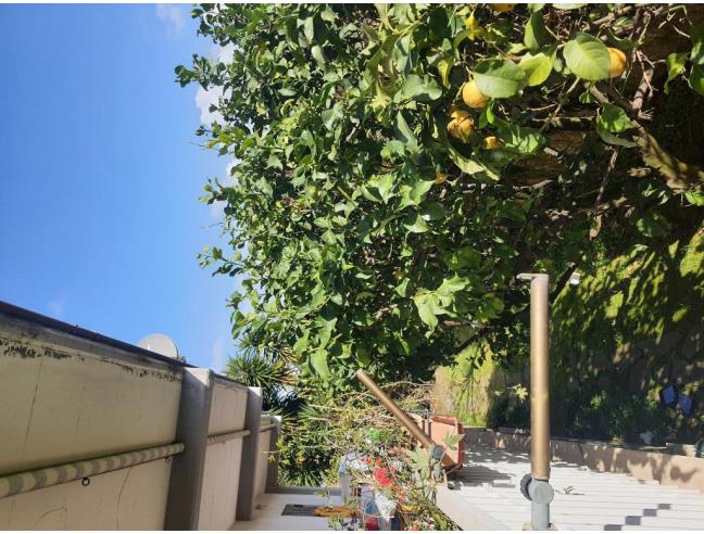 Anteprima foto 3 - Appartamento in Vendita a Santa Marinella (Roma)