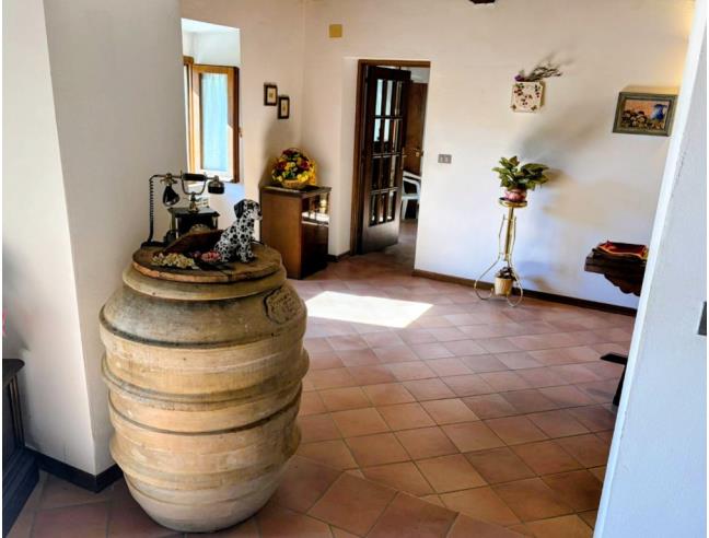 Anteprima foto 8 - Appartamento in Vendita a Scansano - Bivio Montorgiali