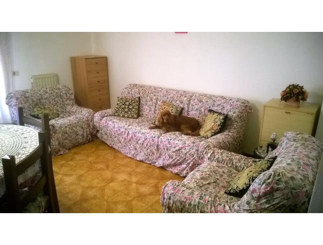 Anteprima foto 4 - Appartamento in Vendita a Scansano (Grosseto)