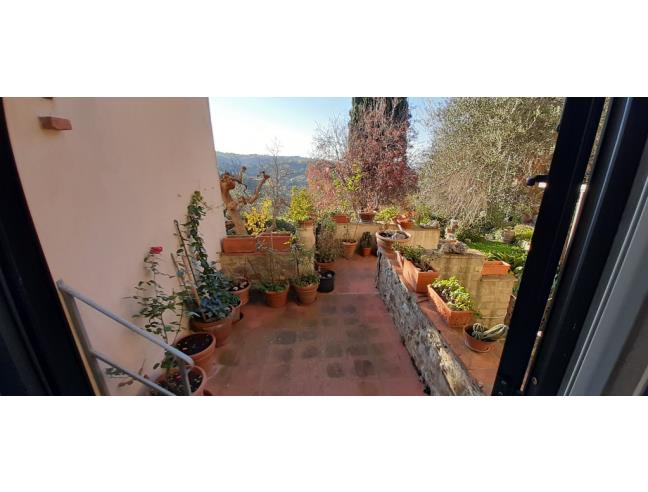 Anteprima foto 5 - Appartamento in Vendita a Scansano - Polveraia