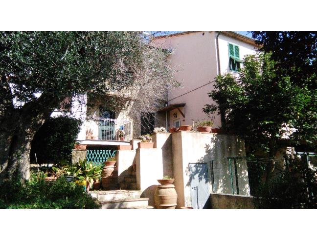 Anteprima foto 6 - Appartamento in Vendita a Scansano - Polveraia