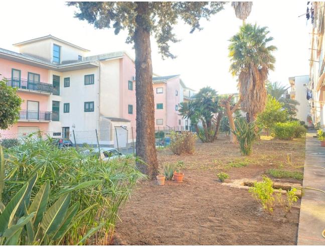 Anteprima foto 6 - Appartamento in Vendita a Scordia (Catania)