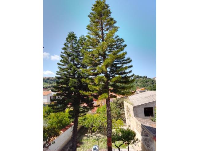 Anteprima foto 4 - Appartamento in Vendita a Sennori (Sassari)