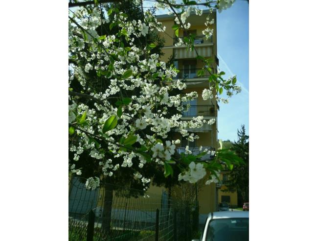 Anteprima foto 7 - Appartamento in Vendita a Serra Riccò - Mainetto