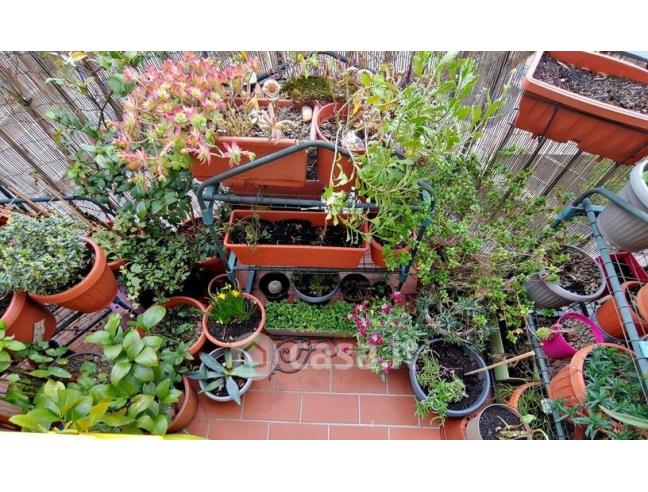 Anteprima foto 8 - Appartamento in Vendita a Sinalunga (Siena)