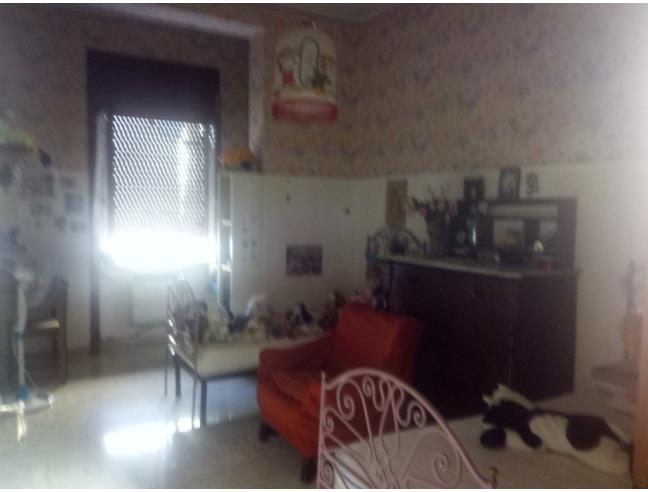 Anteprima foto 7 - Appartamento in Vendita a Sparanise (Caserta)