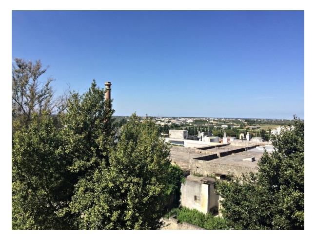 Anteprima foto 4 - Appartamento in Vendita a Specchia (Lecce)