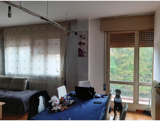 Anteprima foto 4 - Appartamento in Vendita a Stra - San Pietro Di Stra