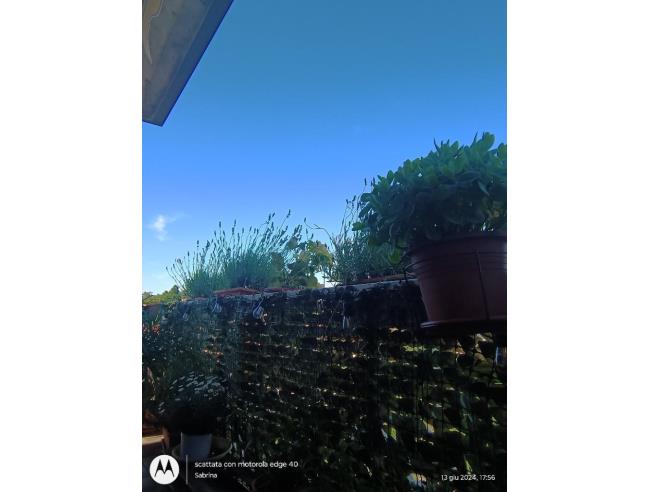 Anteprima foto 6 - Appartamento in Vendita a Stradella (Pavia)