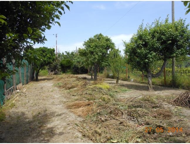 Anteprima foto 7 - Appartamento in Vendita a Terme Vigliatore (Messina)