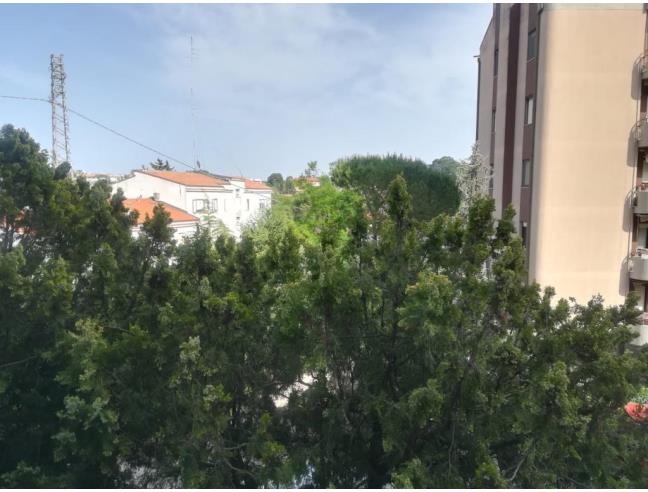 Anteprima foto 2 - Appartamento in Vendita a Termoli (Campobasso)