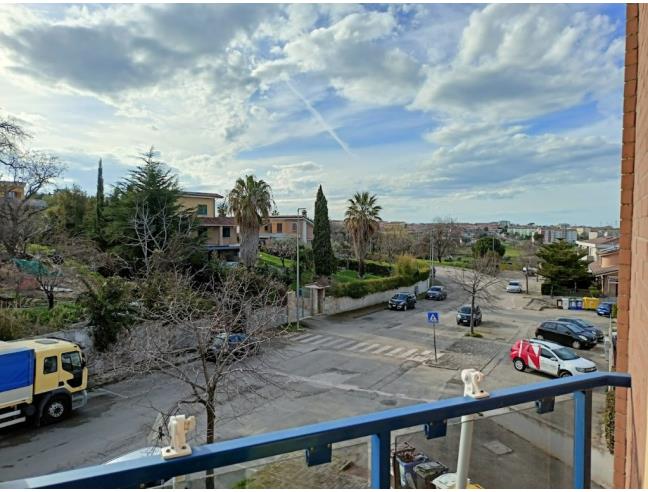 Anteprima foto 8 - Appartamento in Vendita a Termoli (Campobasso)