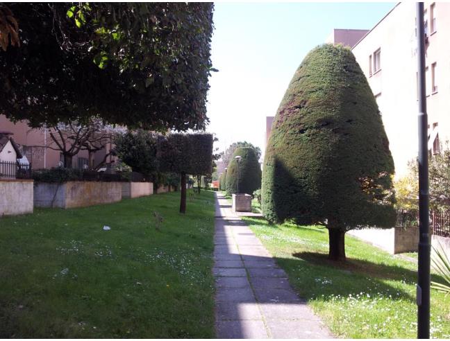 Anteprima foto 3 - Appartamento in Vendita a Terni (Terni)