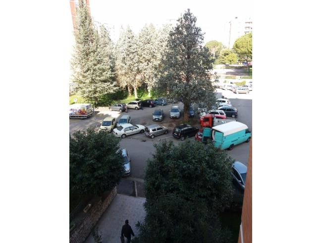 Anteprima foto 8 - Appartamento in Vendita a Terni (Terni)