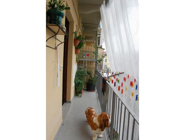 Anteprima foto 7 - Appartamento in Vendita a Torino - Madonna Del Pilone