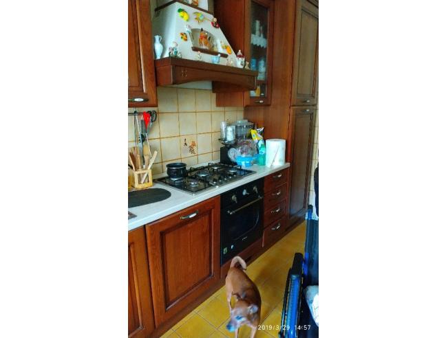 Anteprima foto 4 - Appartamento in Vendita a Torre Orsaia (Salerno)