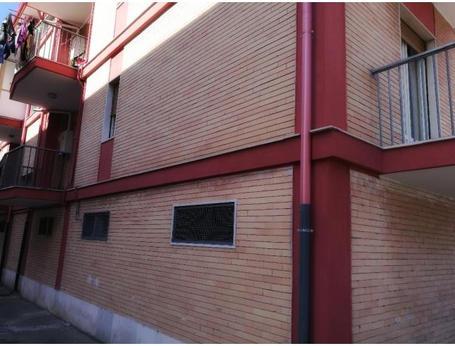 Anteprima foto 5 - Appartamento in Vendita a Trinitapoli (Barletta-Andria-Trani)