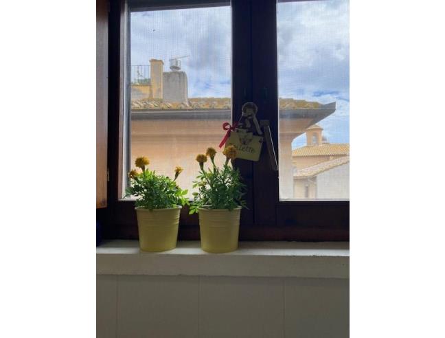 Anteprima foto 7 - Appartamento in Vendita a Tuscania (Viterbo)