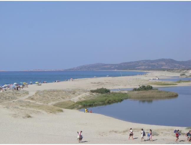 Anteprima foto 8 - Appartamento in Vendita a Valledoria (Sassari)