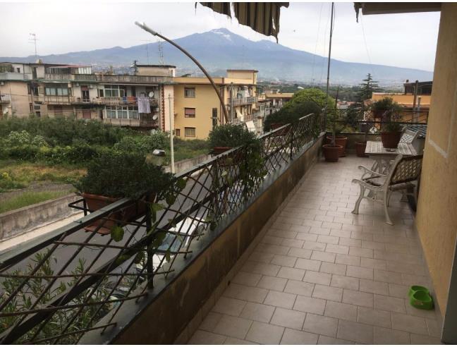 Anteprima foto 5 - Appartamento in Vendita a Valverde (Catania)