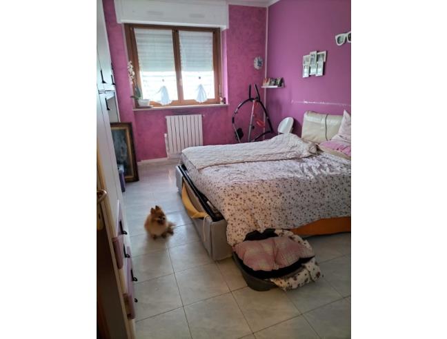 Anteprima foto 3 - Appartamento in Vendita a Venaria Reale (Torino)