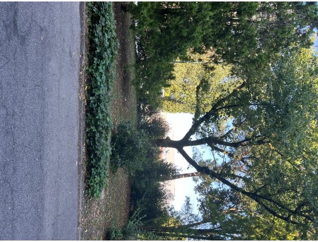 Anteprima foto 3 - Appartamento in Vendita a Venezia - Carpenedo