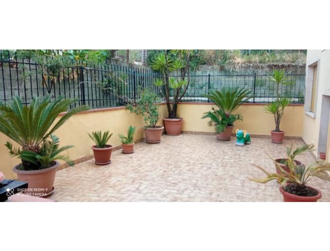 Anteprima foto 3 - Appartamento in Vendita a Verbicaro (Cosenza)