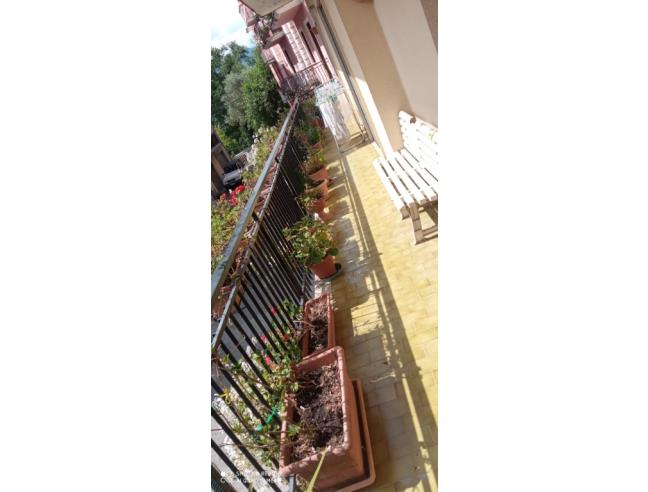 Anteprima foto 8 - Appartamento in Vendita a Verbicaro (Cosenza)