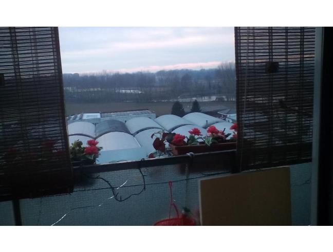 Anteprima foto 6 - Appartamento in Vendita a Vizzolo Predabissi (Milano)