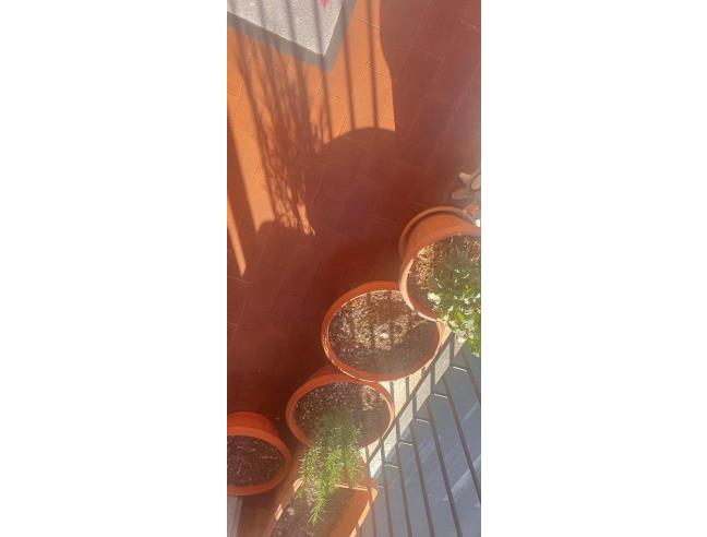 Anteprima foto 6 - Appartamento in Vendita a Voghera (Pavia)