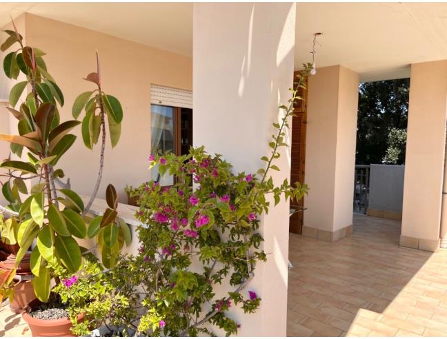 Anteprima foto 5 - Attico in Affitto a Anzio (Roma)