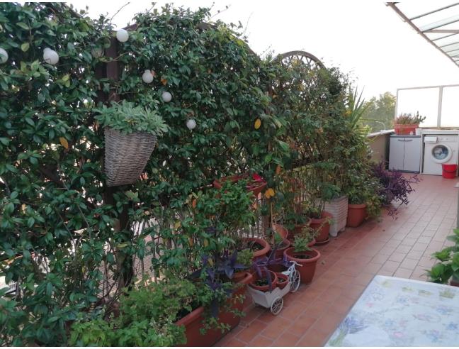 Anteprima foto 7 - Attico in Affitto a Roma - Romanina