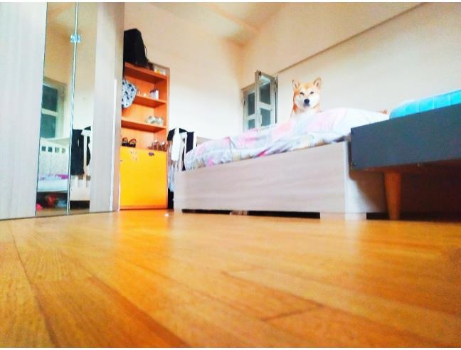 Anteprima foto 5 - Attico in Vendita a Busto Garolfo (Milano)