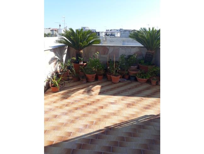 Anteprima foto 3 - Attico in Vendita a Cerveteri - Marina Di Cerveteri