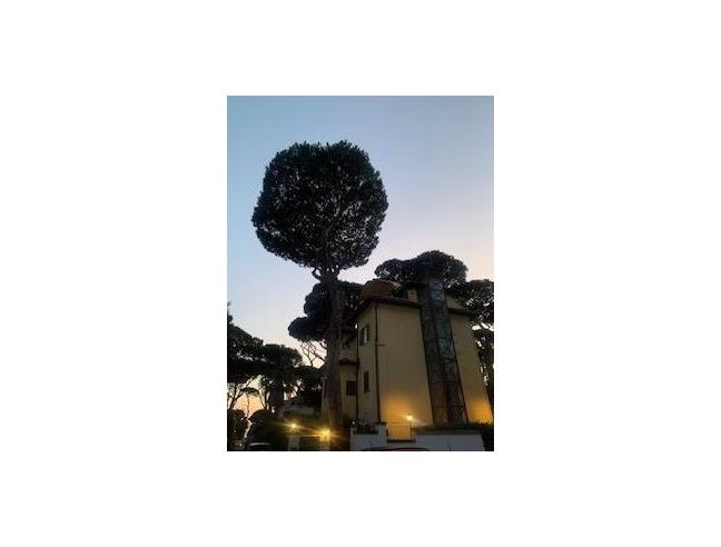 Anteprima foto 1 - Attico in Vendita a Fiumicino - Stazione Di Maccarese-Fregene