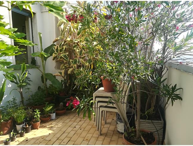 Anteprima foto 4 - Attico in Vendita a Milano - Bicocca