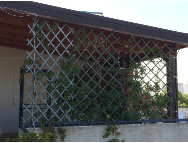 Anteprima foto 8 - Attico in Vendita a Policoro - Lido Di Policoro