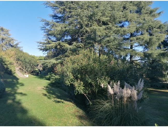 Anteprima foto 8 - Attico in Vendita a Ponti sul Mincio (Mantova)