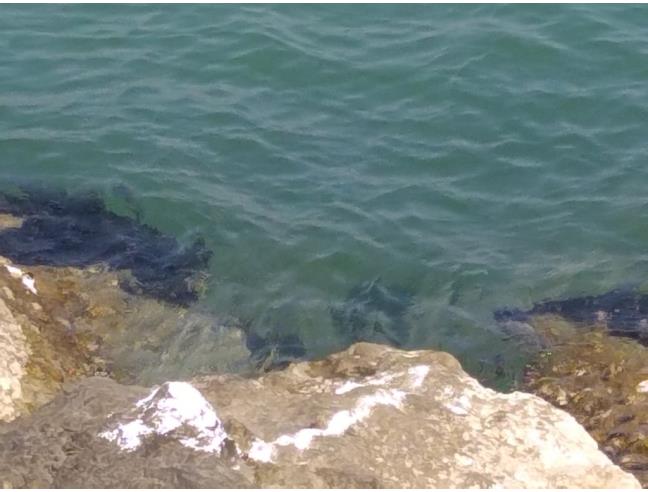 Anteprima foto 2 - Attico in Vendita a Ravenna - Lido di Classe