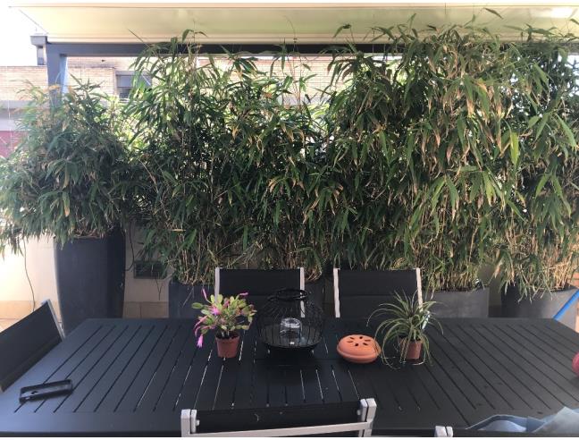 Anteprima foto 2 - Attico in Vendita a Roma - Cesano di Roma