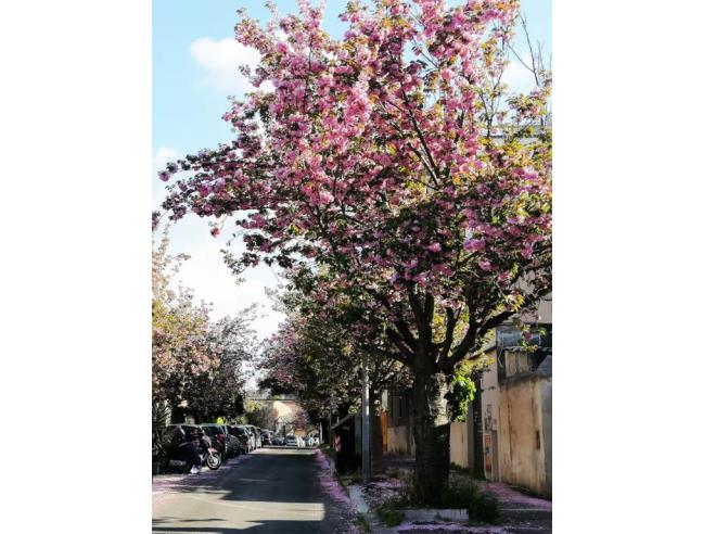 Anteprima foto 7 - Attico in Vendita a Roma - Tuscolano