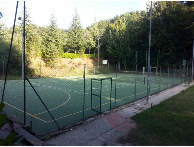 Anteprima foto 8 - Attico in Vendita a Spezzano della Sila - Camigliatello Silano