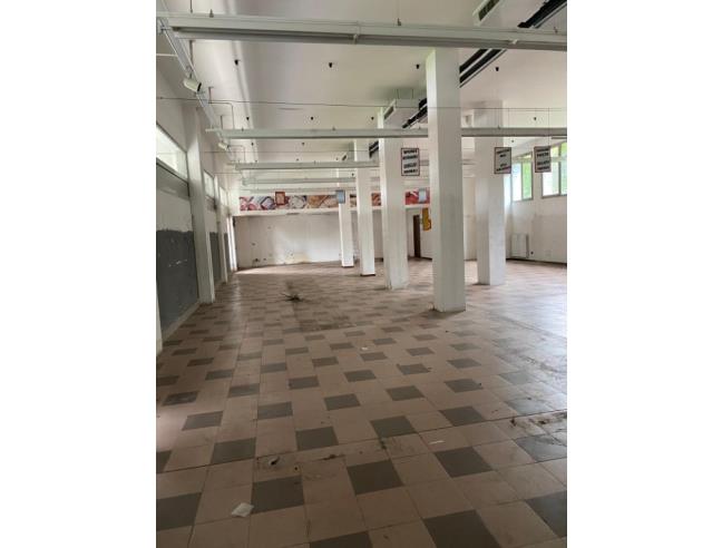 Anteprima foto 4 - Attività Alimentari in Vendita a Pero (Milano)