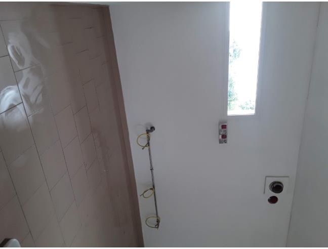 Anteprima foto 2 - Attività Altro - Alimentare in Gestione a Bagnolo in Piano (Reggio Emilia)