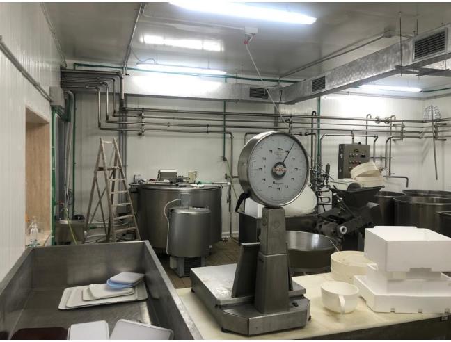 Anteprima foto 2 - Attività Altro - Alimentare in Gestione a Roma - Romanina