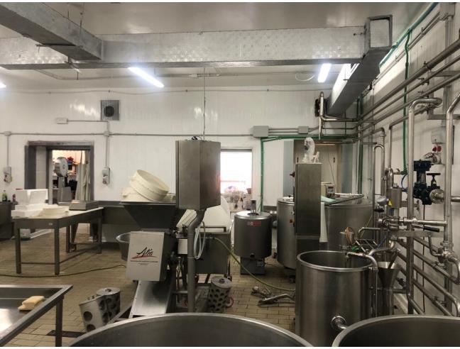 Anteprima foto 8 - Attività Altro - Alimentare in Gestione a Roma - Romanina