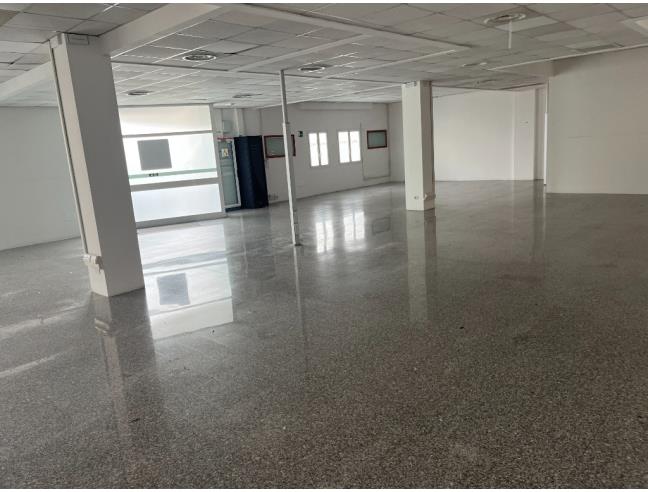 Anteprima foto 1 - Attività Altro - Non Alimentare in Gestione a Frascati (Roma)