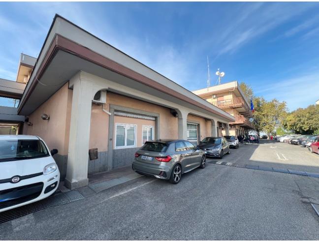 Anteprima foto 5 - Attività Altro - Non Alimentare in Gestione a Frascati (Roma)