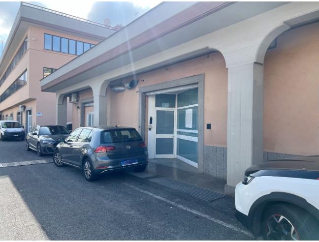 Anteprima foto 6 - Attività Altro - Non Alimentare in Gestione a Frascati (Roma)