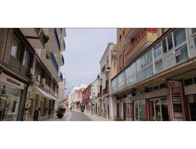 Anteprima foto 4 - Attività Altro - Non Alimentare in Gestione a Manfredonia (Foggia)